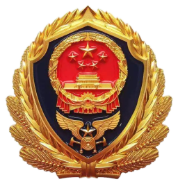 LOGO 预览